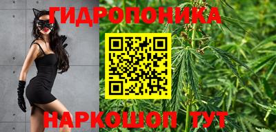 скорость Жуковский