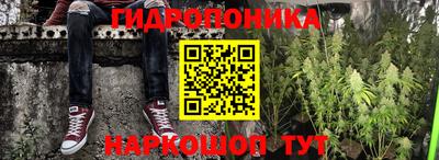 сатива Заводоуковск