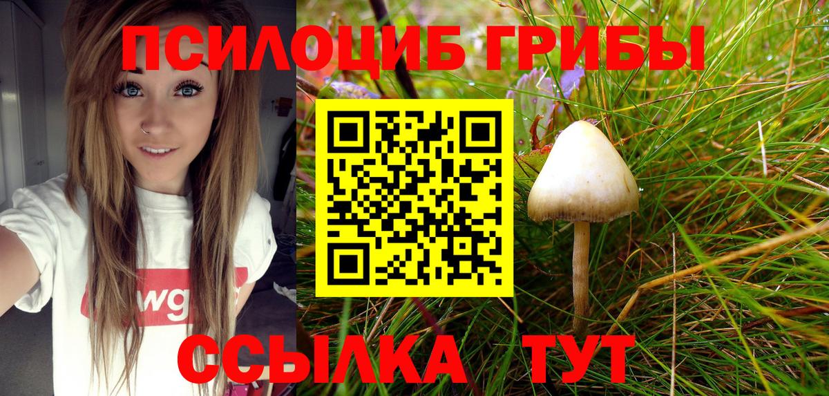 Галлюциногенные грибы MAGIC MUSHROOMS  Вход с VPN  Лыткарино 