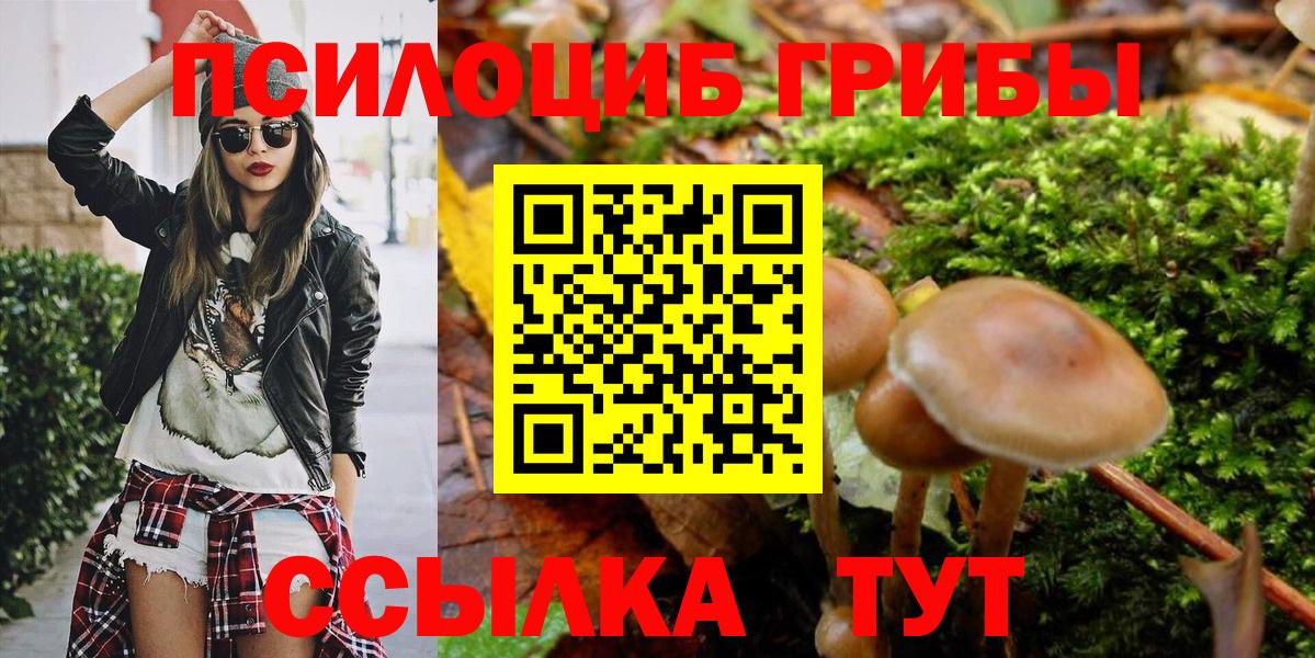 Псилоцибиновые грибы Magic Shrooms Лыткарино